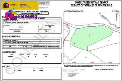 Parcela/Finca venta en Albox, Almería. 