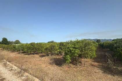 农业用地 出售 进入 Masdenverge, Tarragona. 