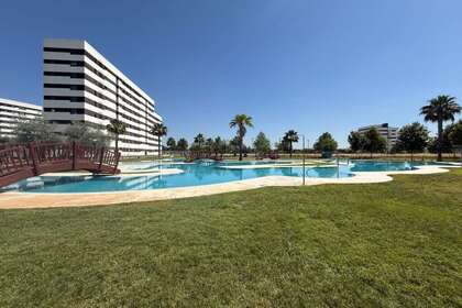 平 进入 Sevilla. 