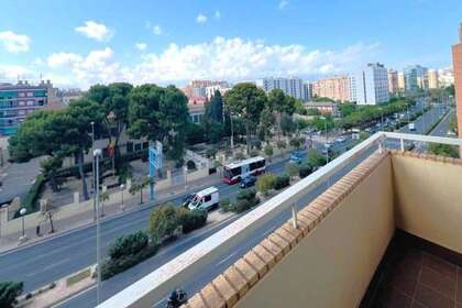 平 出售 进入 Alicante/Alacant. 