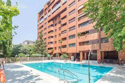 平 出售 进入 Madrid. 