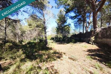农业用地 出售 进入 Alfara de Algimia, Valencia. 
