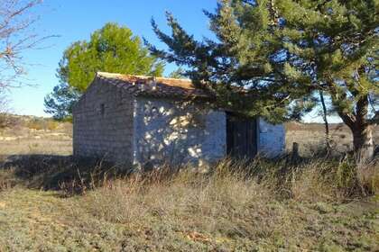 Rural/Agricultural land for sale in Cella, Teruel. 