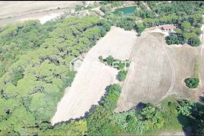 Rural/Agricultural land for sale in Vidreres, Girona. 