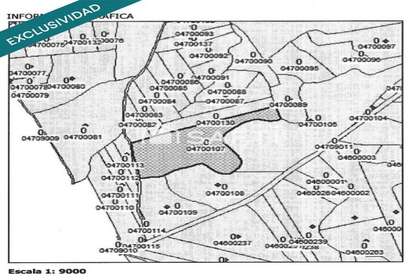 Rural/Agricultural land for sale in Campo de Criptana, Ciudad Real. 