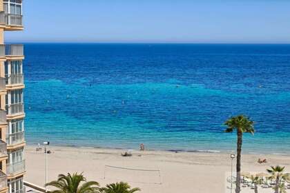 酒店公寓 出售 进入 Alicante/Alacant. 