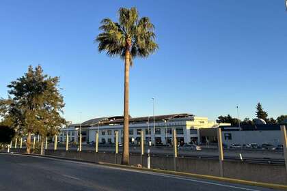 Local comercial en Sotogrande, Cádiz. 