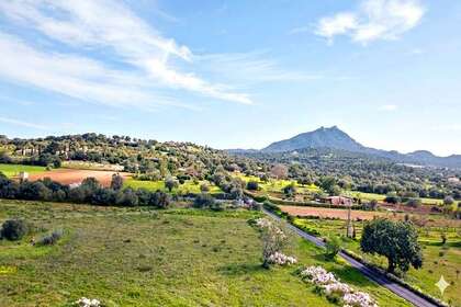 Beboelse jord til salg i Felanich / Felanitx, Baleares (Illes Balears), Mallorca. 