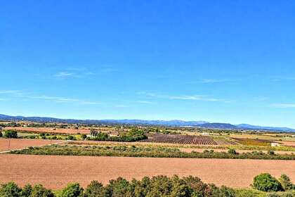 Terreno residencial venta en Felanich / Felanitx, Baleares (Illes Balears), Mallorca. 
