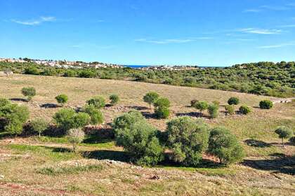 Terreno residencial venta en Manacor / Manacor, Baleares (Illes Balears), Mallorca. 
